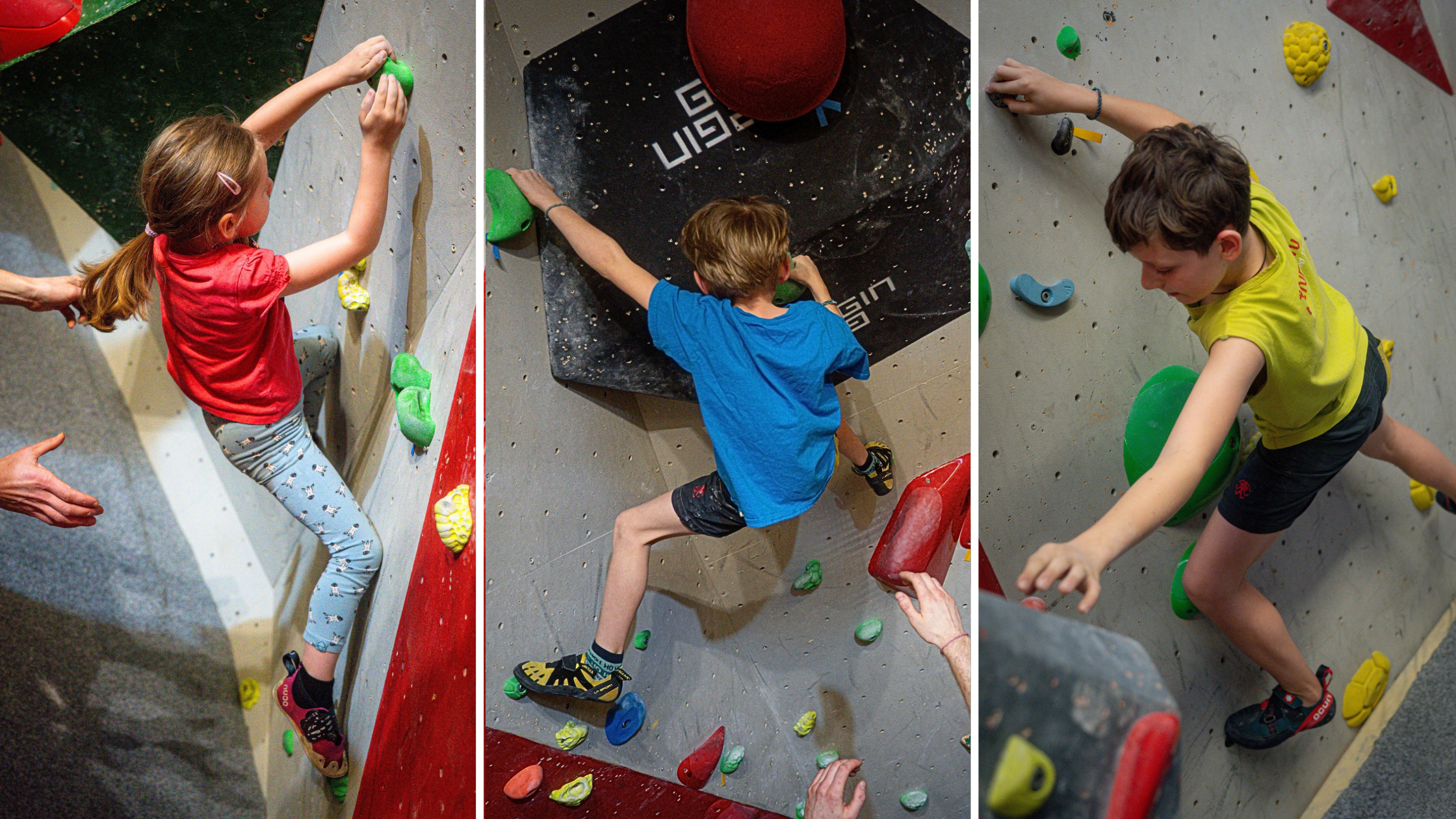 obrázky do článků